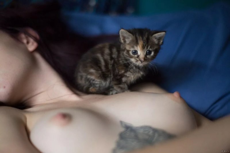 Красивые киски девчонок