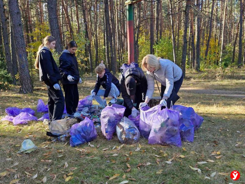 Фото: Уборка мусора