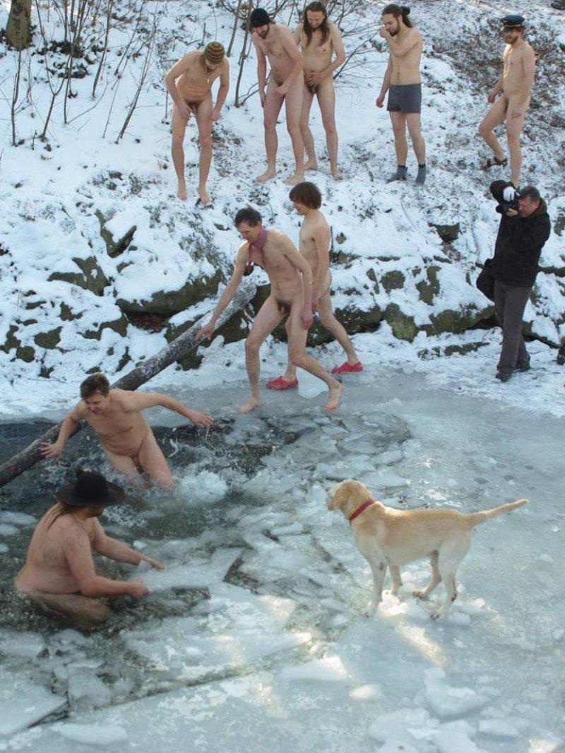Лабрадор ретривер палевый
