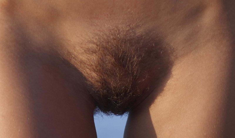 Волосатая лобок