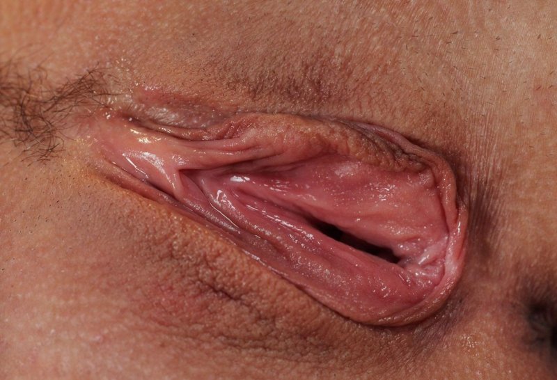 Женские вагины крупным планом