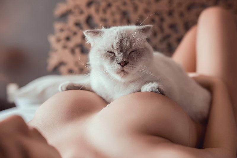 Самые красивые киски девушек
