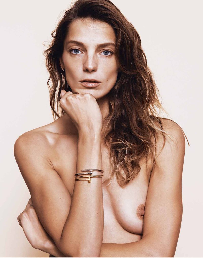 Daria werbowy