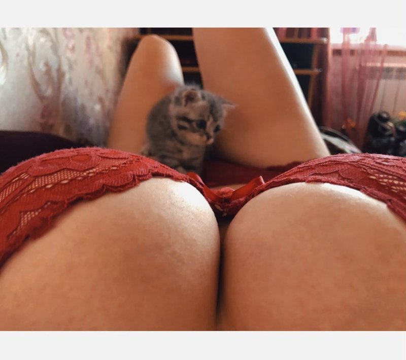 Груди девушек