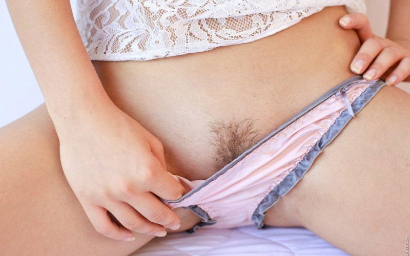 Лобок в трусиках
