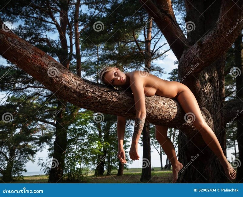 Голые на дереве