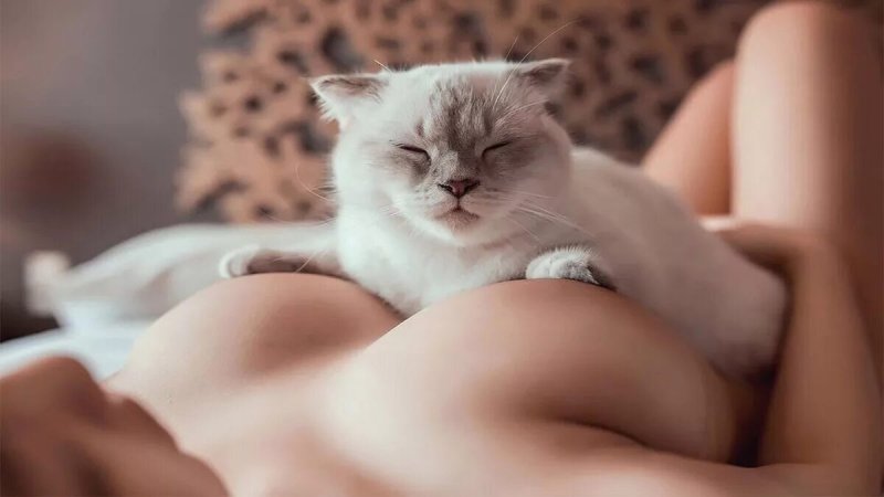 Красивые киски девчонок