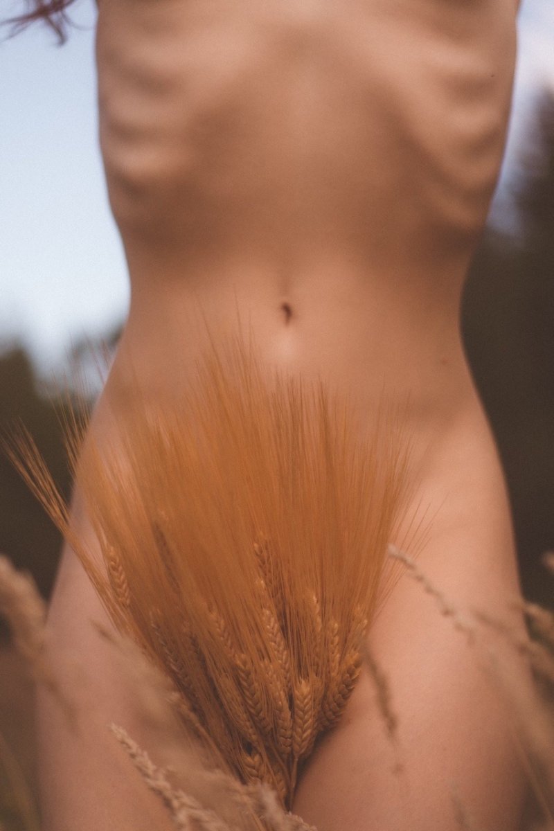 Пшеничное поле