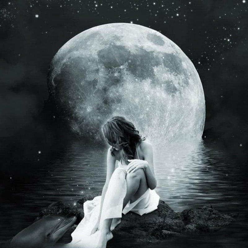 Девушка под луной